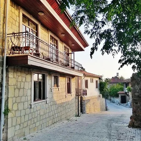 사이드 안티크 셈파티