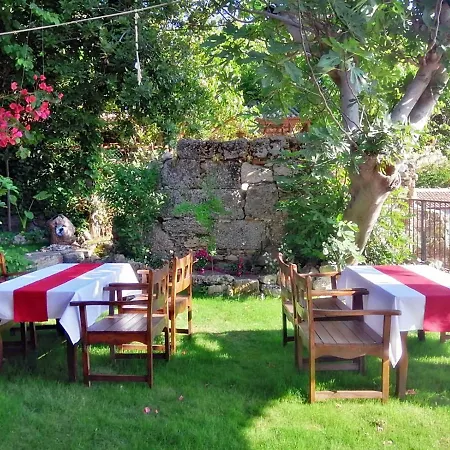 赛德提克森帕蒂酒店 酒店